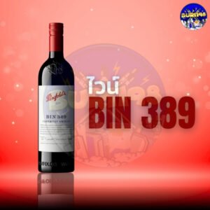 Penfolds Bin 389 Cabernet Sauvignon Shiraz