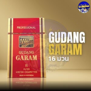 Gudang Garam Professional